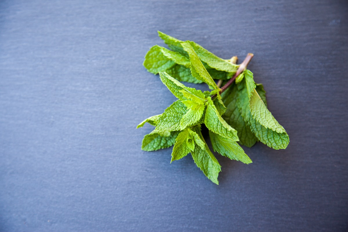 Té verde con limón para energía digestiva